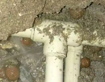 渝水测漏水多少钱