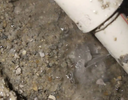 渝水测漏水电话号码