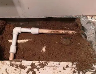 渝水测漏水哪家好