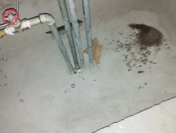 渝水卫生间测漏水价格明细