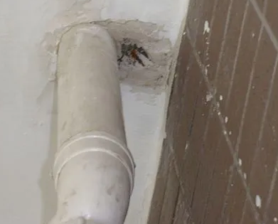 渝水漏水检测哪家好